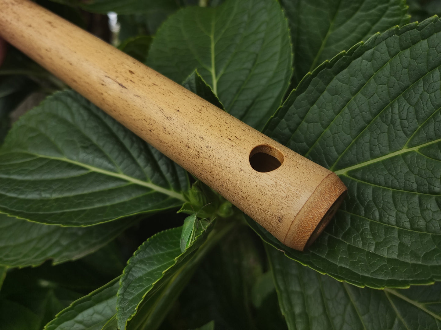 D# / Eb Major Bamboo Flute | Concert tuned Transverse flute in the key of E flat or D sharp for folk or world music | Sound healing | Gomes