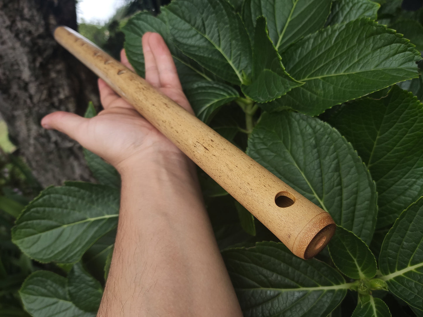 D# / Eb Major Bamboo Flute | Concert tuned Transverse flute in the key of E flat or D sharp for folk or world music | Sound healing | Gomes