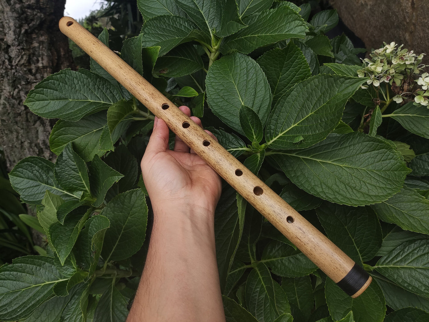 D# / Eb Major Bamboo Flute | Concert tuned Transverse flute in the key of E flat or D sharp for folk or world music | Sound healing | Gomes