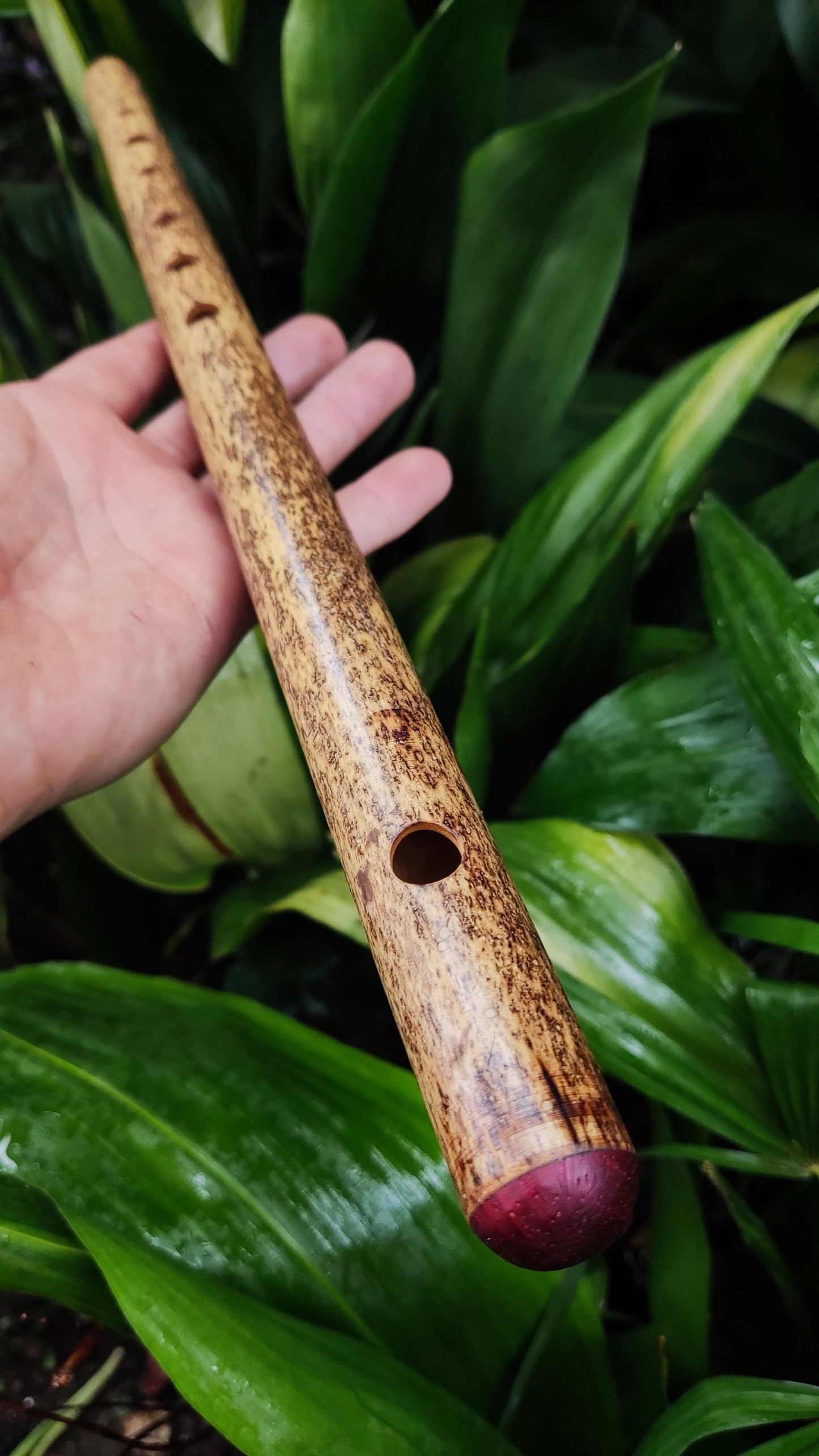 Bamboo Transverse flute in the key of G handmade for Folk and Irish Music | Alternative 6 holes Bansuri | Gift for Musician | Rui Gomes