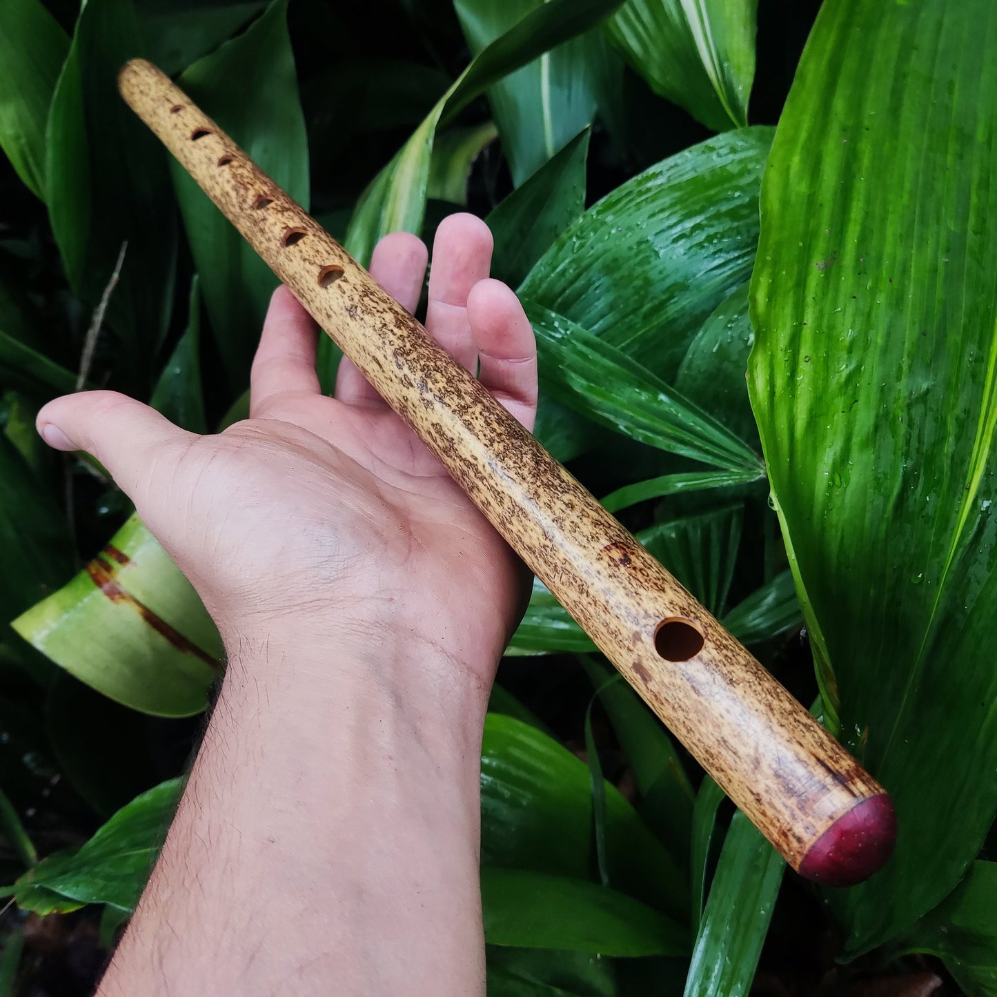 Bamboo Transverse flute in the key of G handmade for Folk and Irish Music | Alternative 6 holes Bansuri | Gift for Musician | Rui Gomes