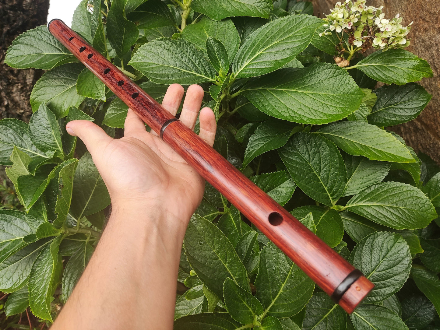 Wooden Flute in the key of F handmade out of Bubinga. Low F Irish style flute  in two pieces, concert tuned Folk and world music | Rui Gomes
