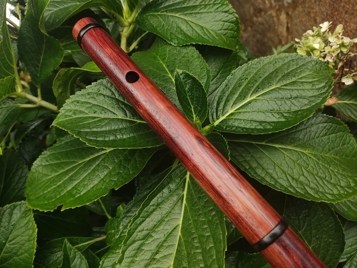 Wooden Flute in the key of F handmade out of Bubinga. Low F Irish style flute  in two pieces, concert tuned Folk and world music | Rui Gomes