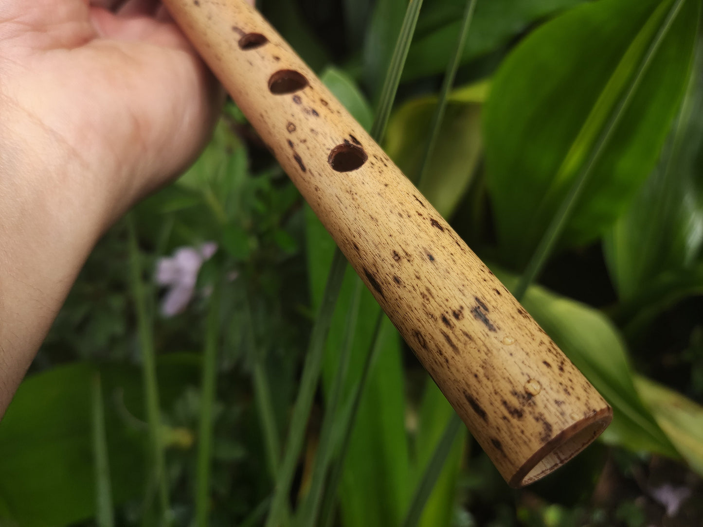 A Major Bamboo Flute with Lip Plate | Concert tuned Transverse flute with a vibrant sound at A440Hz | World Music Gift for musician | Gomes