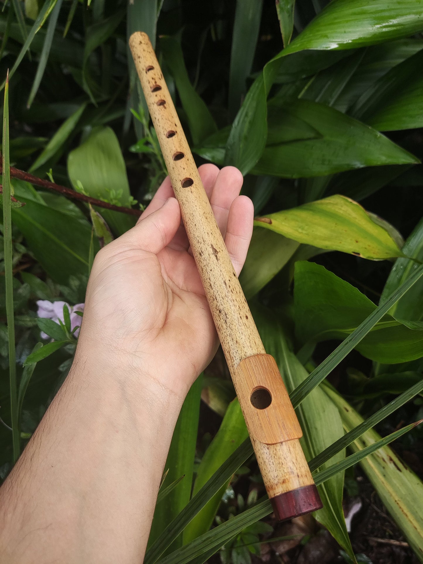 A Major Bamboo Flute with Lip Plate | Concert tuned Transverse flute with a vibrant sound at A440Hz | World Music Gift for musician | Gomes