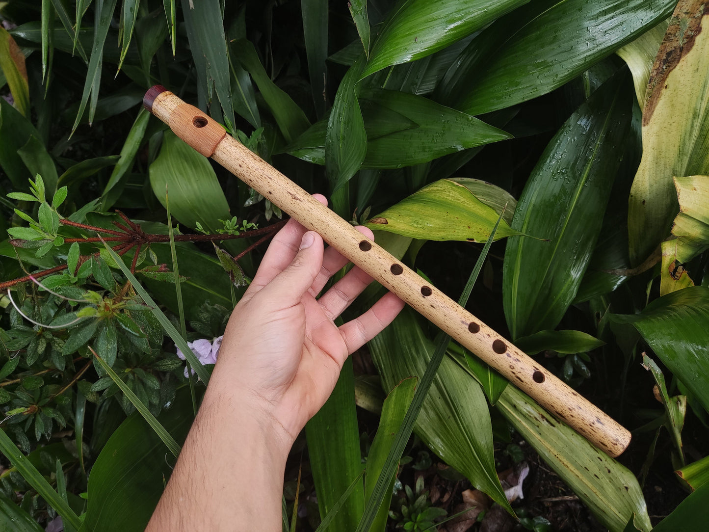 A Major Bamboo Flute with Lip Plate | Concert tuned Transverse flute with a vibrant sound at A440Hz | World Music Gift for musician | Gomes