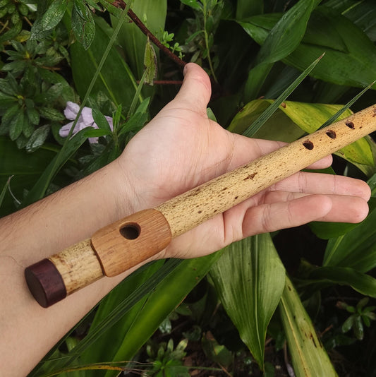 A Major Bamboo Flute with Lip Plate | Concert tuned Transverse flute with a vibrant sound at A440Hz | World Music Gift for musician | Gomes