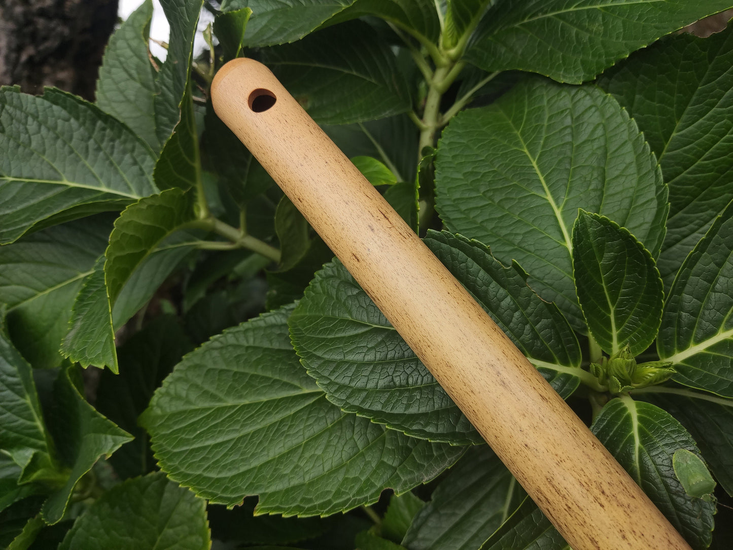 D# / Eb Major Bamboo Flute | Concert tuned Transverse flute in the key of E flat or D sharp for folk or world music | Sound healing | Gomes