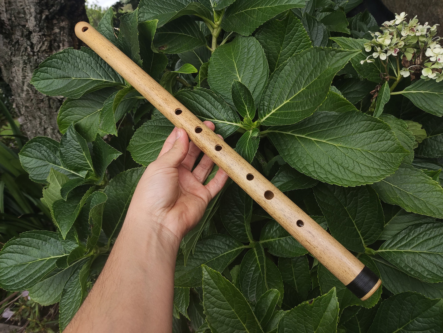 D# / Eb Major Bamboo Flute | Concert tuned Transverse flute in the key of E flat or D sharp for folk or world music | Sound healing | Gomes