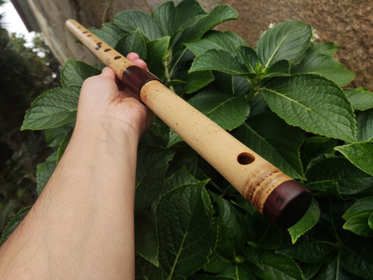 Low D Bamboo Transverse Flute, handmade Traverso in two pieces. Concert tuned flute, suitable for folk, irish and world music. Rui Gomes