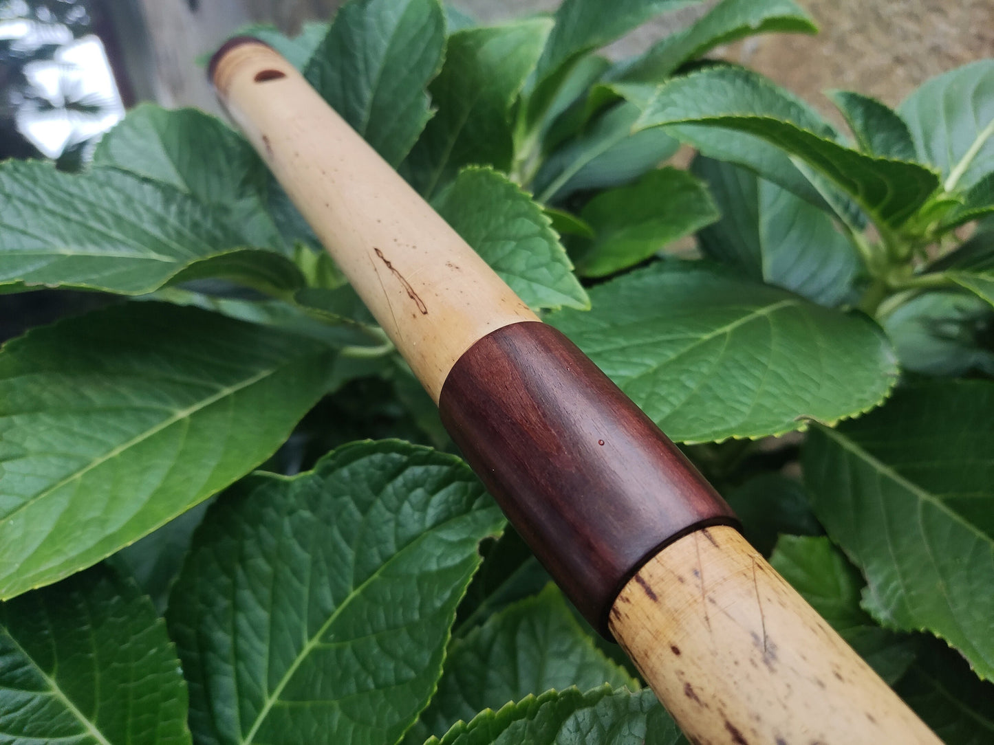 Low D Bamboo Transverse Flute, handmade Traverso in two pieces. Concert tuned flute, suitable for folk, irish and world music. Rui Gomes