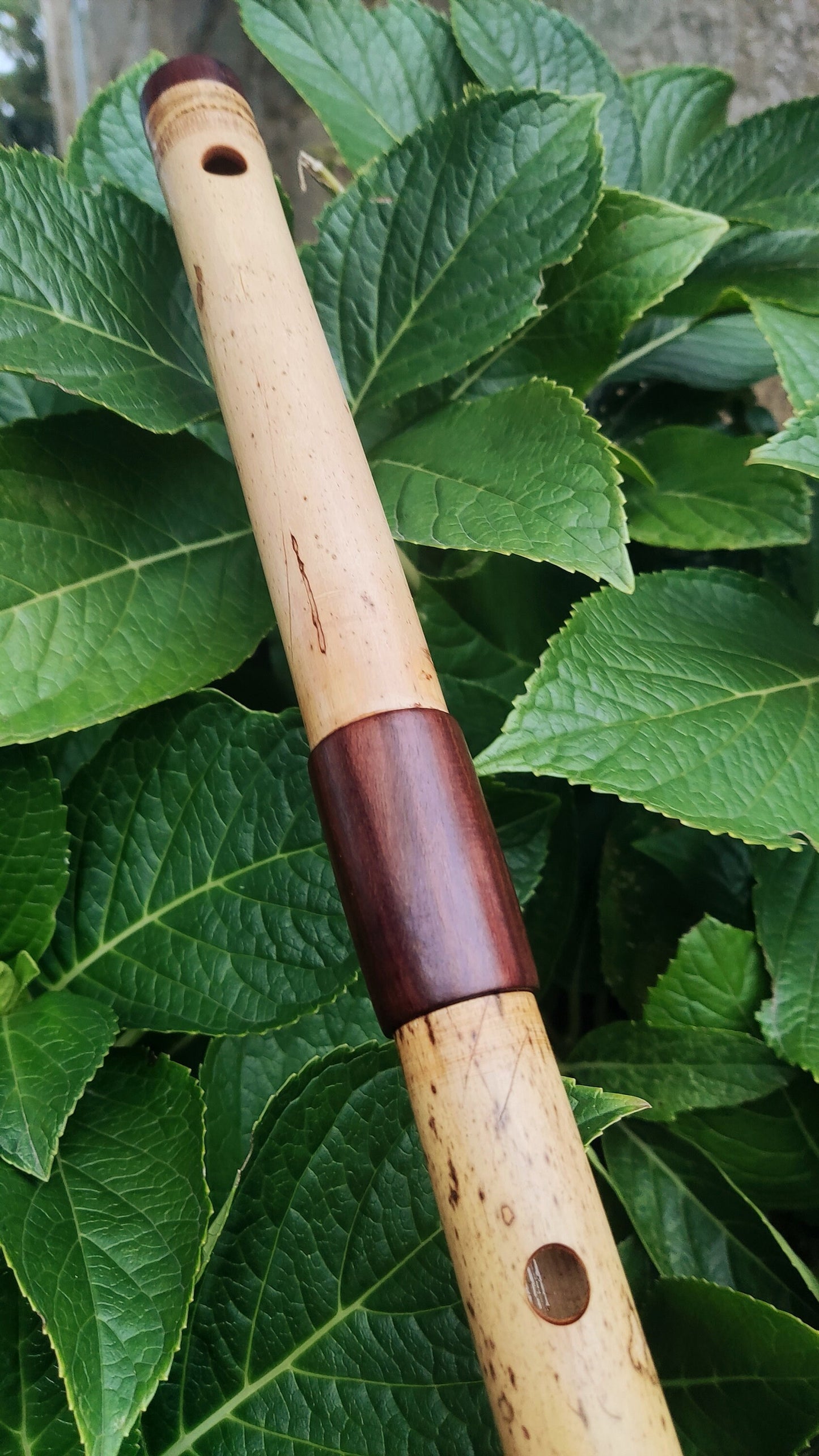 Low D Bamboo Transverse Flute, handmade Traverso in two pieces. Concert tuned flute, suitable for folk, irish and world music. Rui Gomes