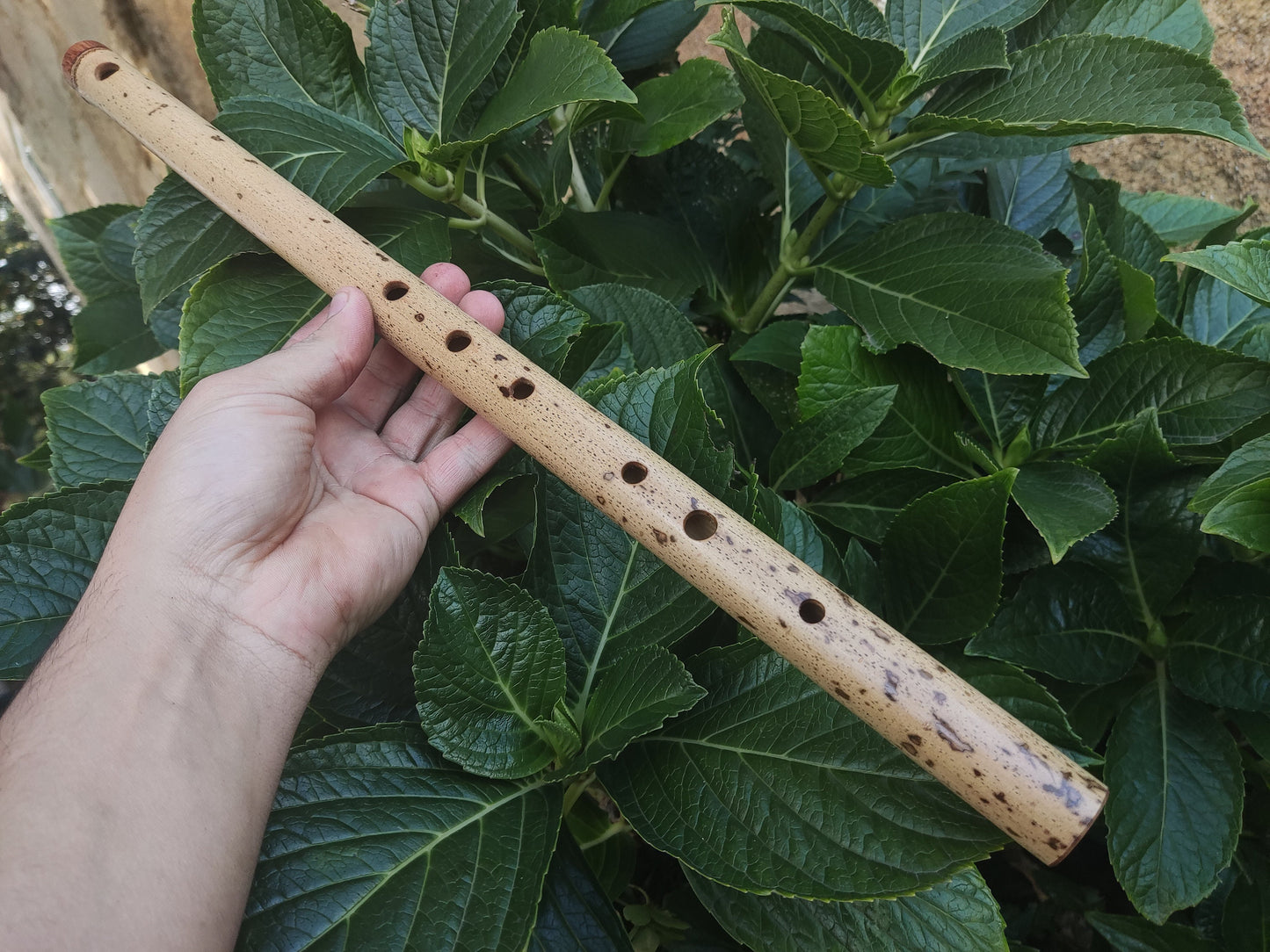 F Major Transverse Flute built in the Irish Style | Concert tuned Bamboo Flute with loud and vibrant tone | Concert Quality | Rui Gomes