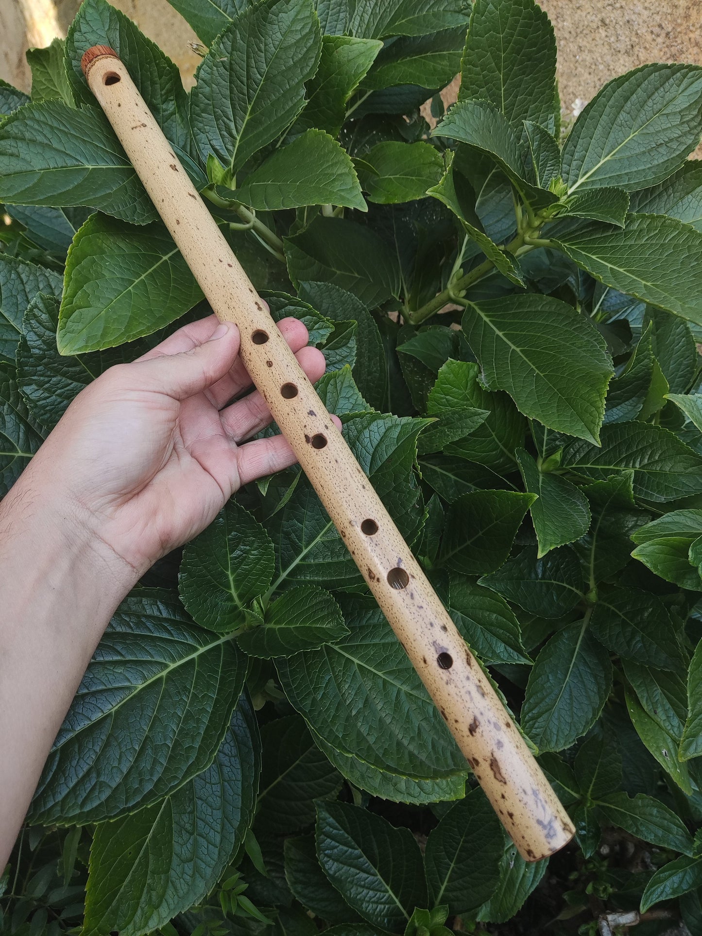 F Major Transverse Flute built in the Irish Style | Concert tuned Bamboo Flute with loud and vibrant tone | Concert Quality | Rui Gomes