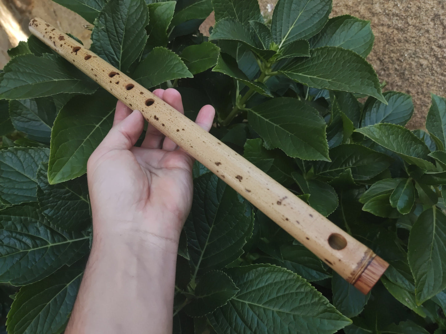 F Major Transverse Flute built in the Irish Style | Concert tuned Bamboo Flute with loud and vibrant tone | Concert Quality | Rui Gomes