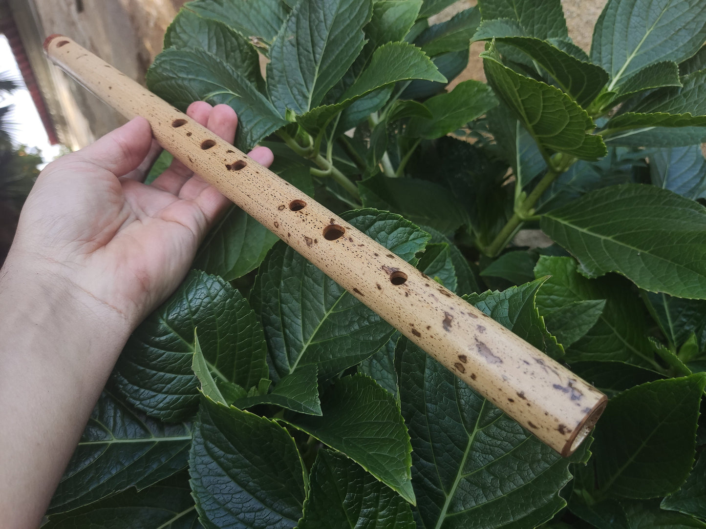 F Major Transverse Flute built in the Irish Style | Concert tuned Bamboo Flute with loud and vibrant tone | Concert Quality | Rui Gomes