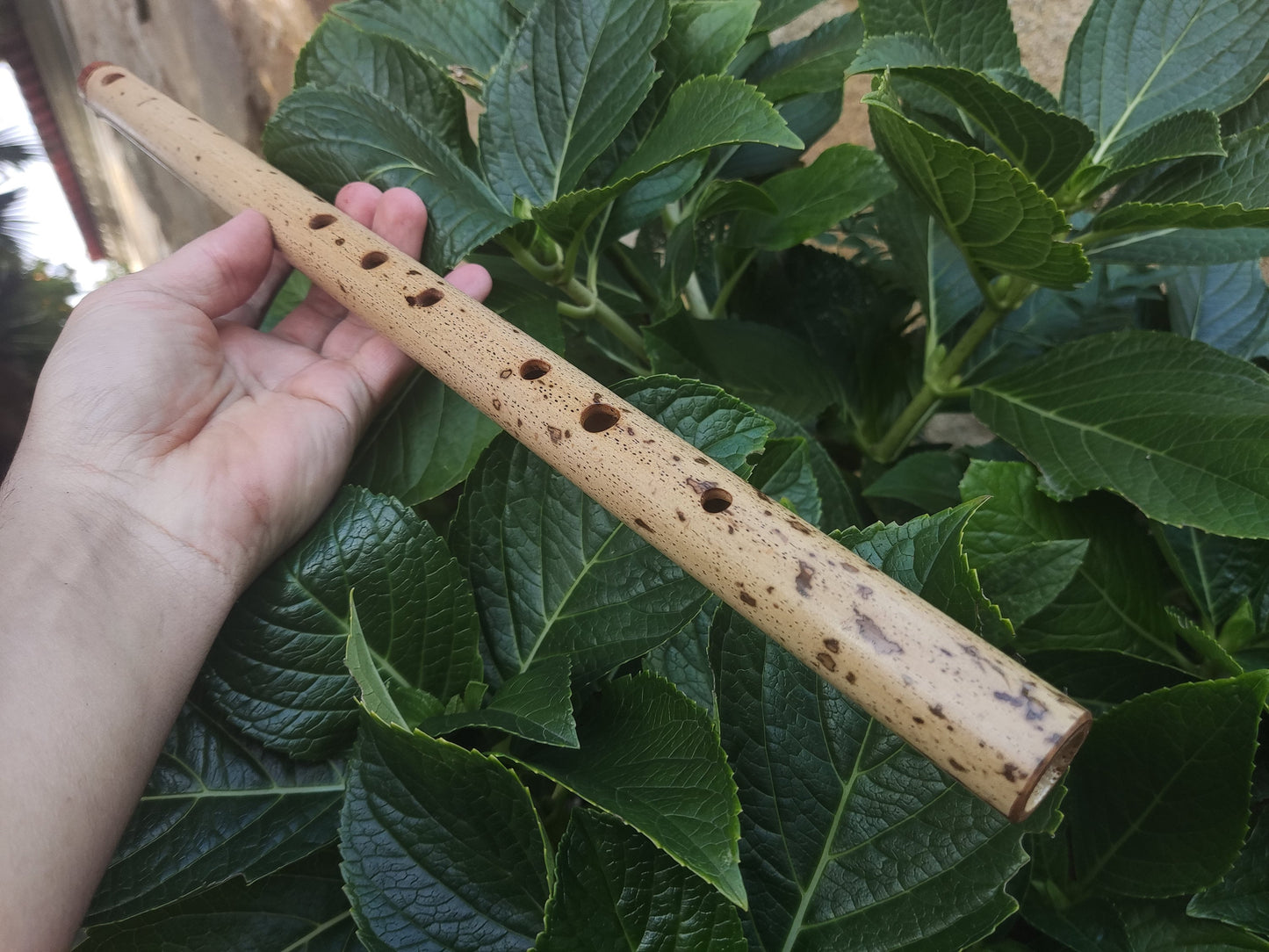 F Major Transverse Flute built in the Irish Style | Concert tuned Bamboo Flute with loud and vibrant tone | Concert Quality | Rui Gomes