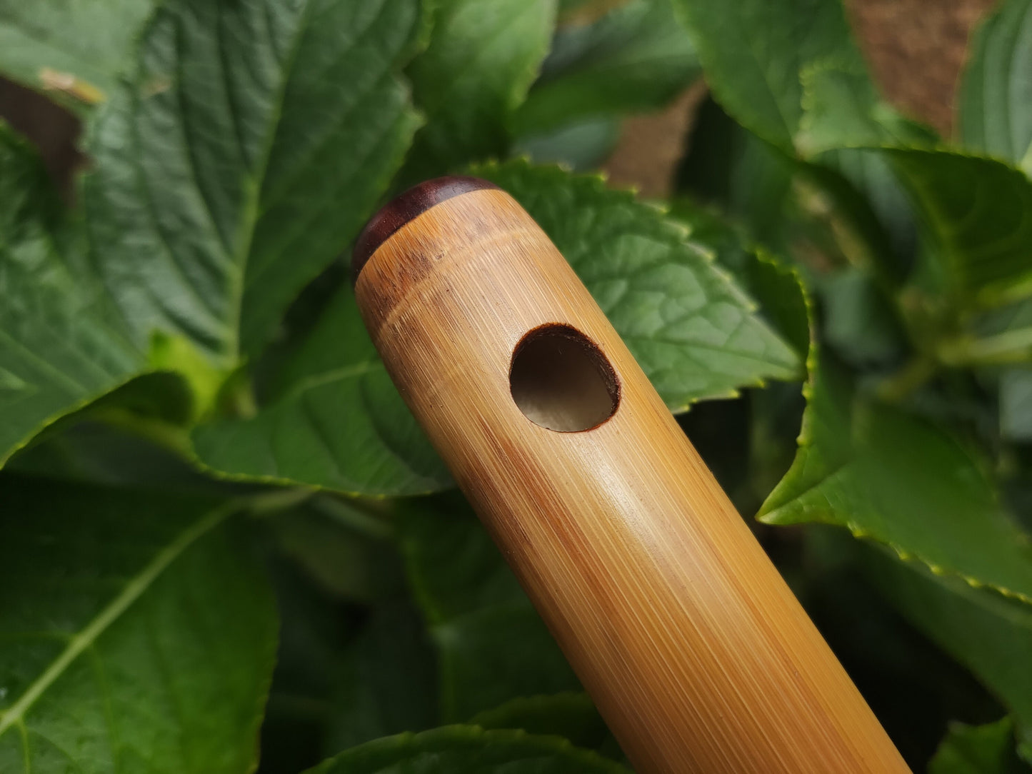 High D Major Piccolo | Handmade Small Transverse for Folk and Traditional Music | Unique Bamboo Fife with Rosewood cap | Rui Gomes