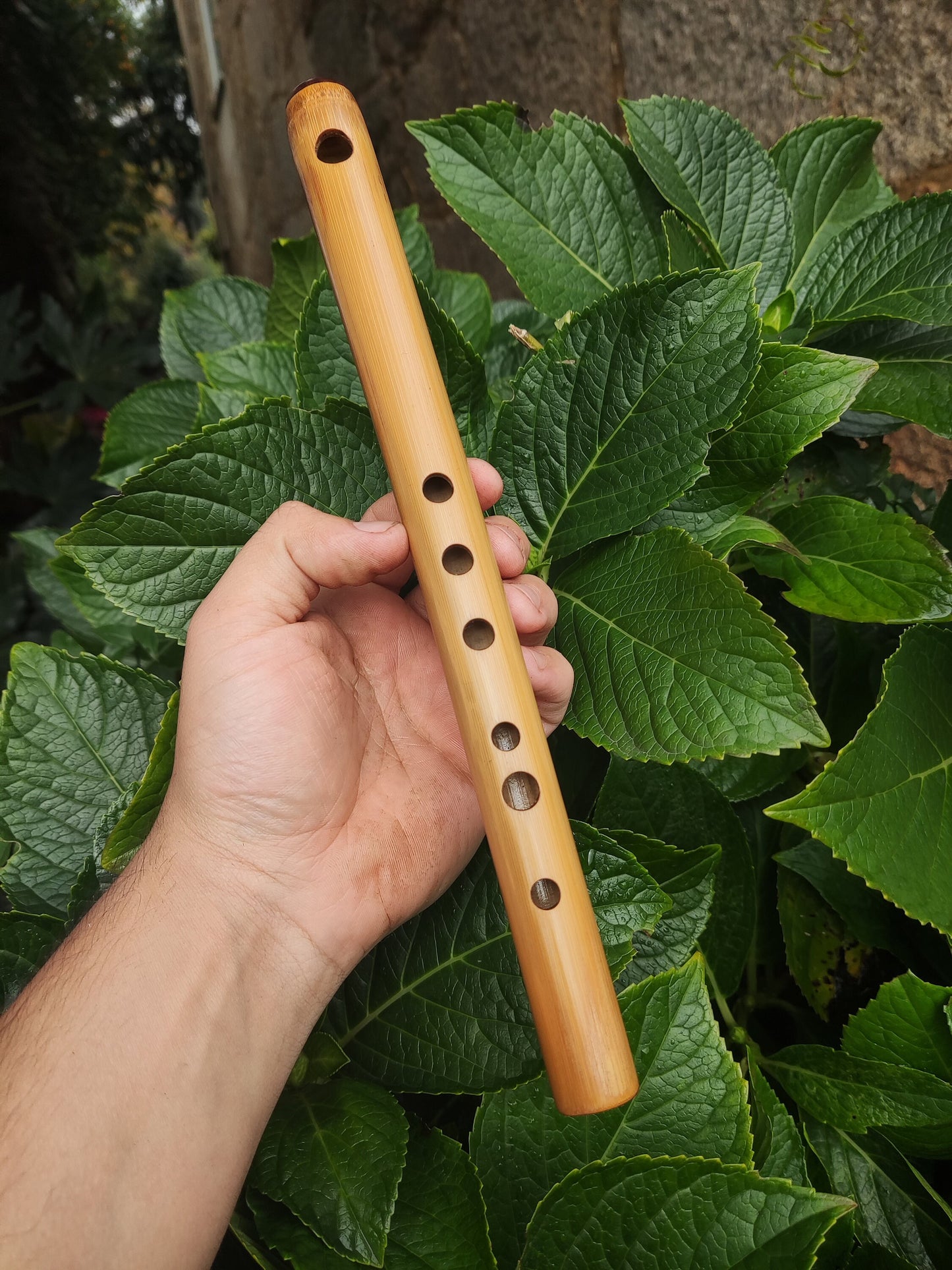 High D Major Piccolo | Handmade Small Transverse for Folk and Traditional Music | Unique Bamboo Fife with Rosewood cap | Rui Gomes