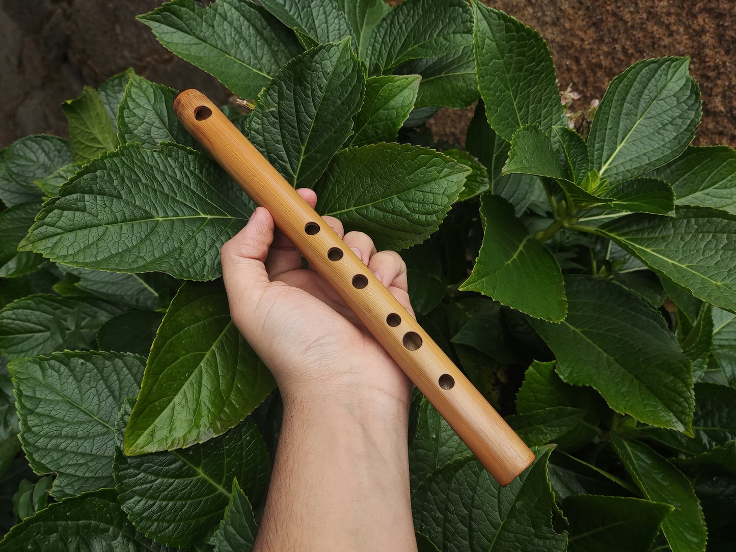High D Major Piccolo | Handmade Small Transverse for Folk and Traditional Music | Unique Bamboo Fife with Rosewood cap | Rui Gomes