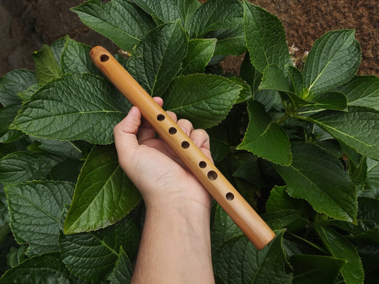 High D Major Piccolo | Handmade Small Transverse for Folk and Traditional Music | Unique Bamboo Fife with Rosewood cap | Rui Gomes