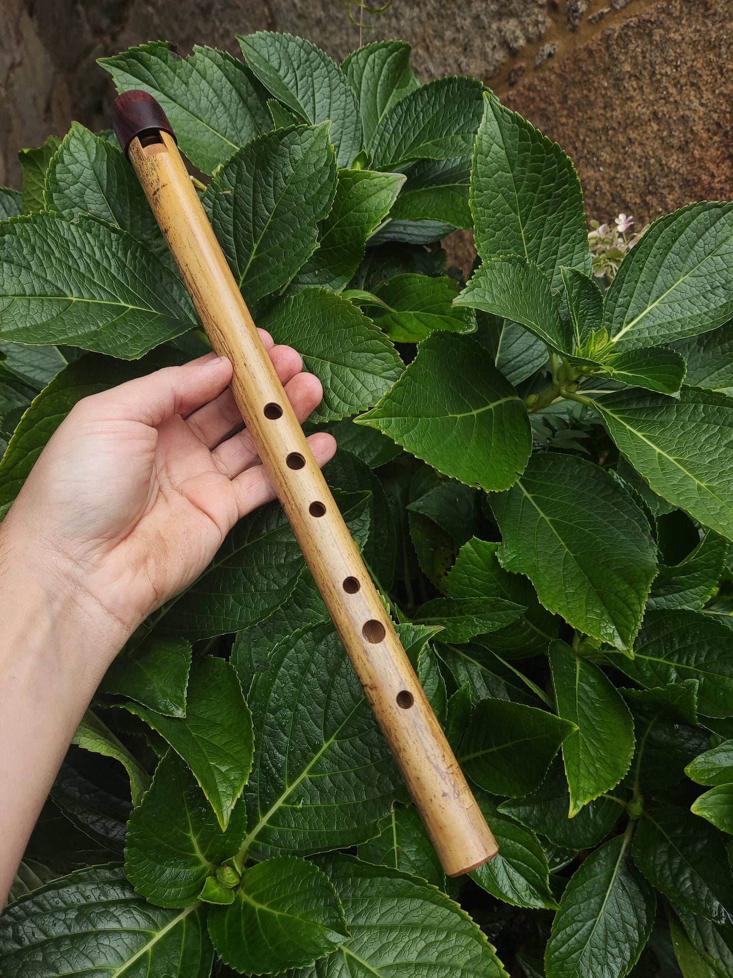 Low A Whistle Handmade out of Bamboo | Suitable for Irish and Folk Music | Rosewood and Bamboo | Traditional Music | Rui Gomes
