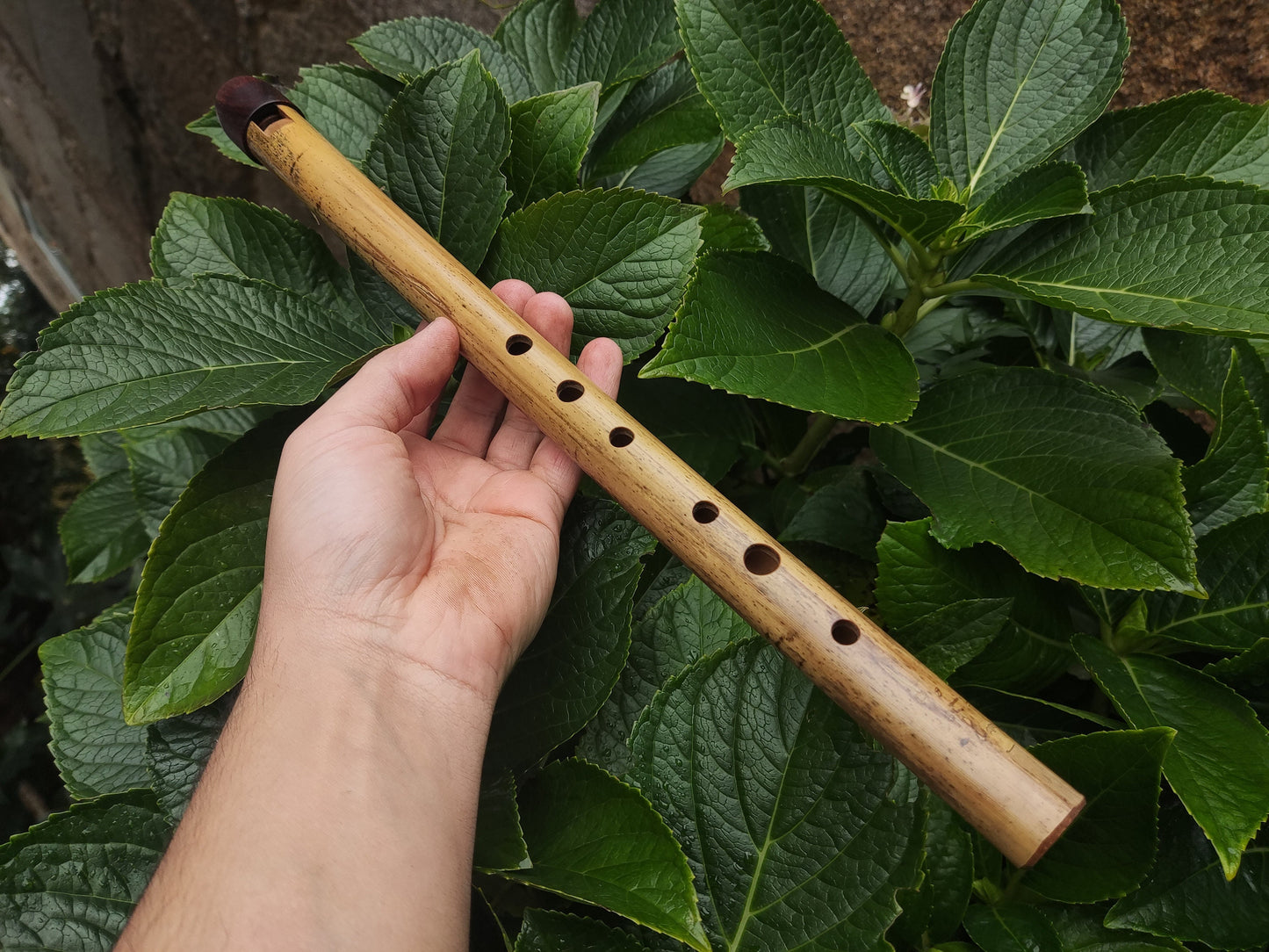 Low A Whistle Handmade out of Bamboo | Suitable for Irish and Folk Music | Rosewood and Bamboo | Traditional Music | Rui Gomes