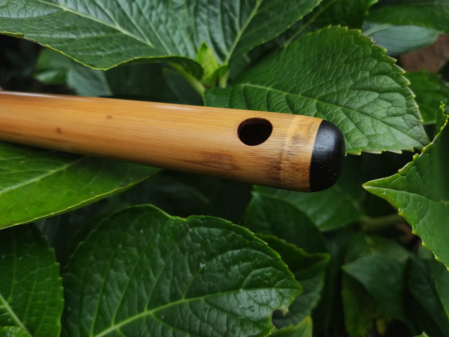 A Major Transverse Flute handmade out of Bamboo | 6-hole Concert pitched Flute | Folk and World Music | Gift for Musician | Rui Gomes