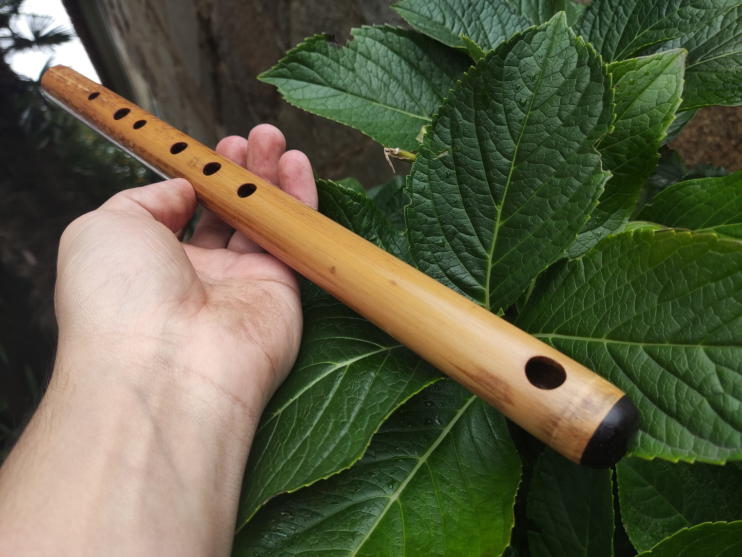 A Major Transverse Flute handmade out of Bamboo | 6-hole Concert pitched Flute | Folk and World Music | Gift for Musician | Rui Gomes