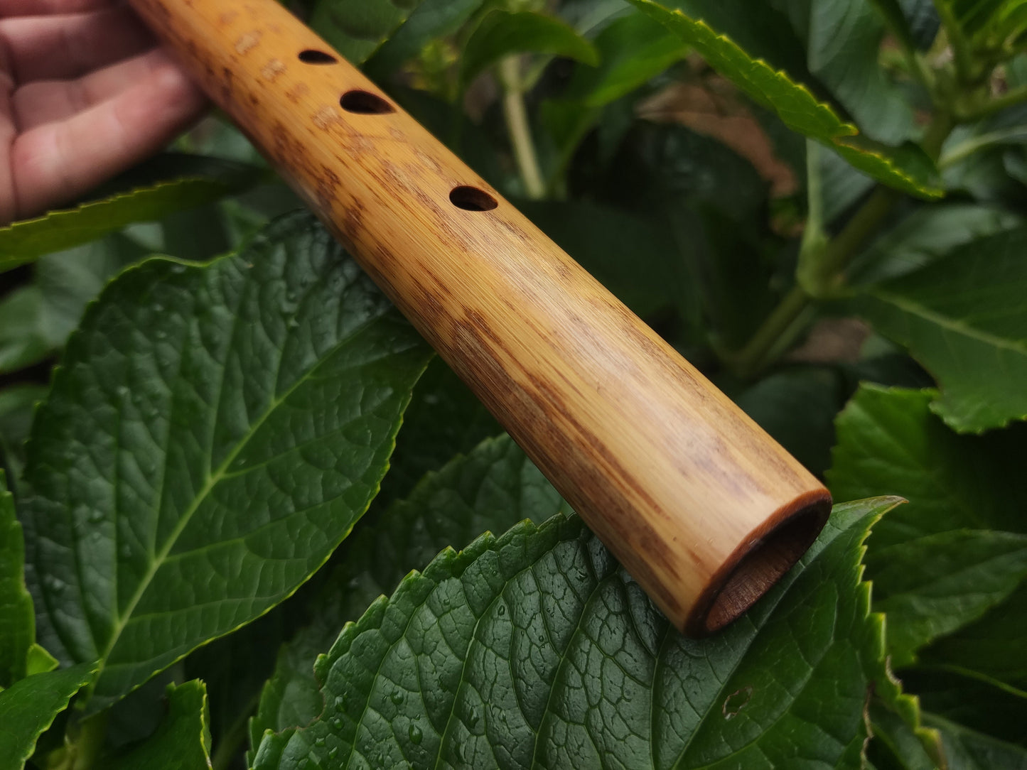 A Major Transverse Flute handmade out of Bamboo | 6-hole Concert pitched Flute | Folk and World Music | Gift for Musician | Rui Gomes