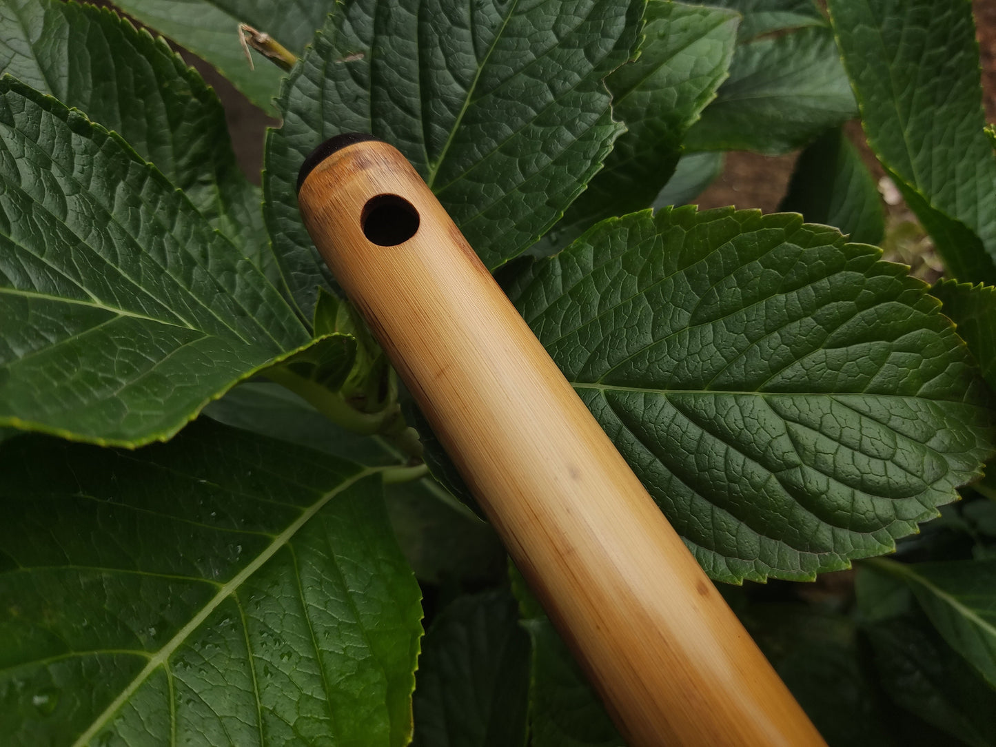 A Major Transverse Flute handmade out of Bamboo | 6-hole Concert pitched Flute | Folk and World Music | Gift for Musician | Rui Gomes
