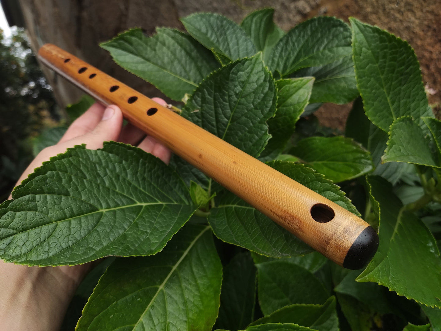 A Major Transverse Flute handmade out of Bamboo | 6-hole Concert pitched Flute | Folk and World Music | Gift for Musician | Rui Gomes