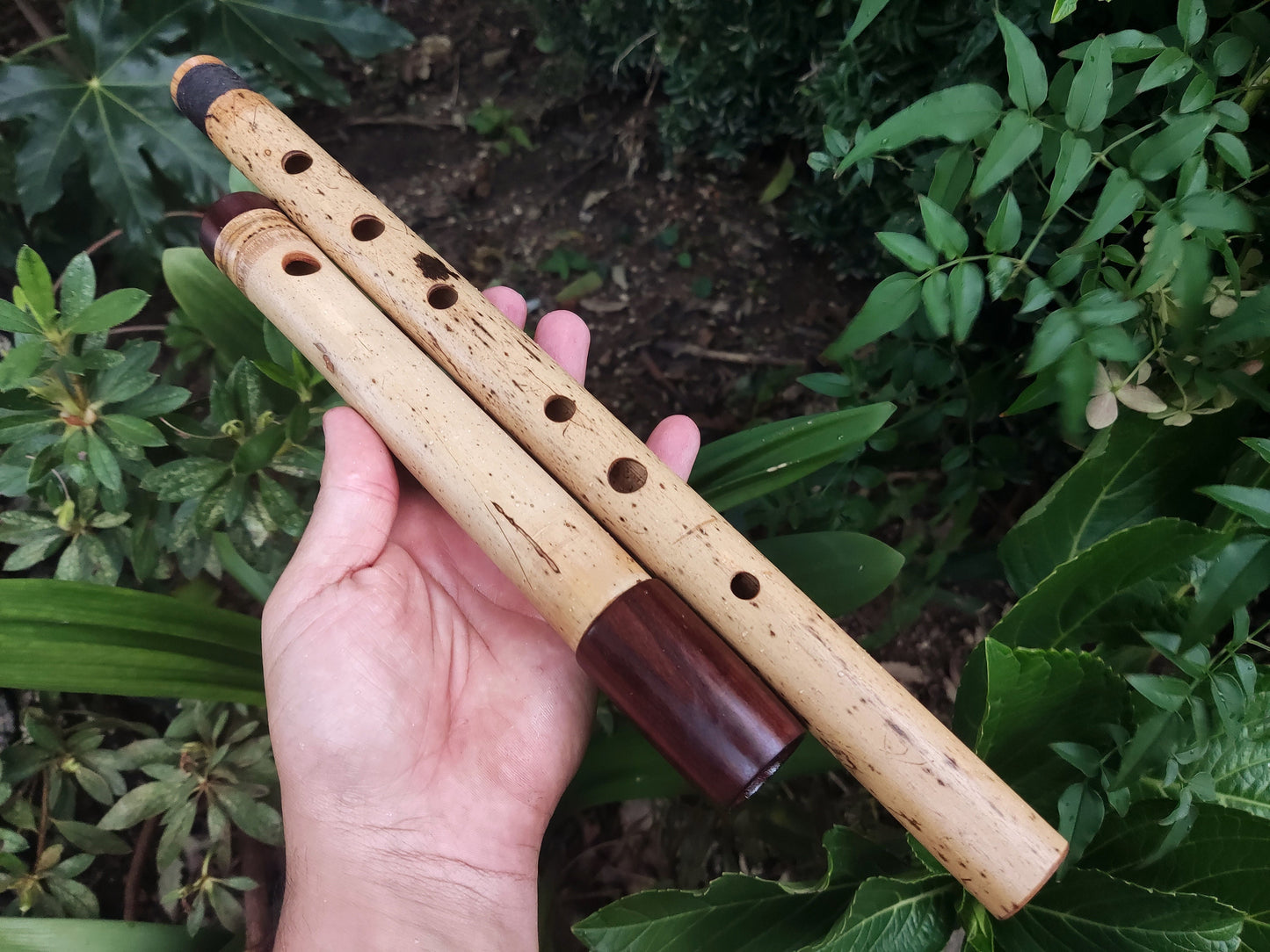 Low D Bamboo Transverse Flute, handmade Traverso in two pieces. Concert tuned flute, suitable for folk, irish and world music. Rui Gomes