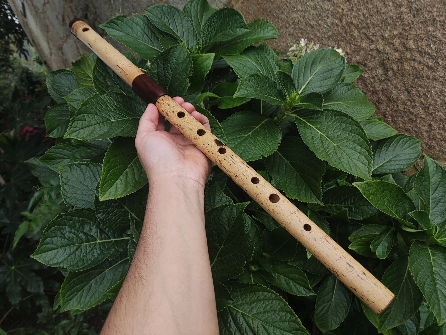 Low D Bamboo Transverse Flute, handmade Traverso in two pieces. Concert tuned flute, suitable for folk, irish and world music. Rui Gomes