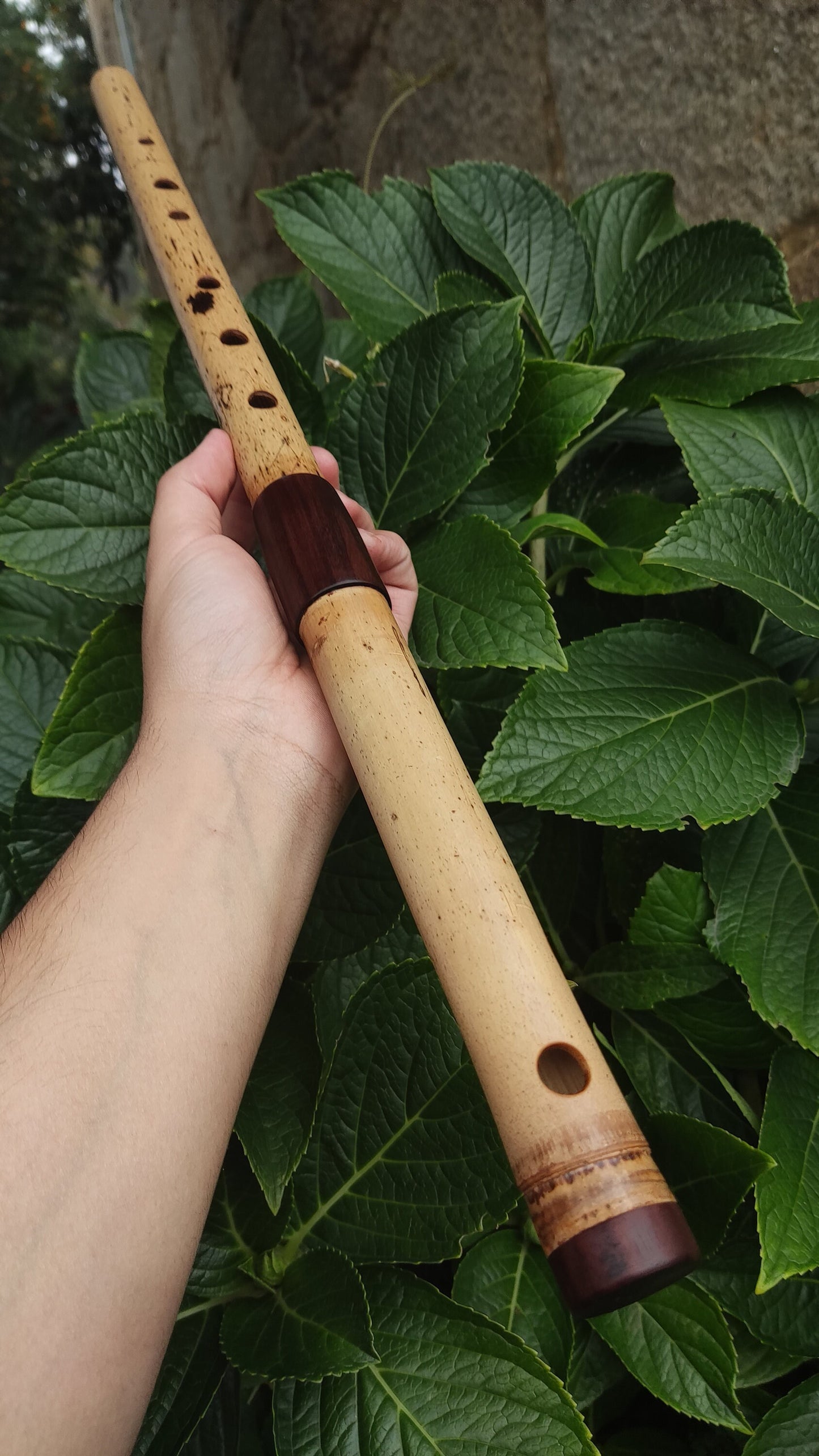 Low D Bamboo Transverse Flute, handmade Traverso in two pieces. Concert tuned flute, suitable for folk, irish and world music. Rui Gomes
