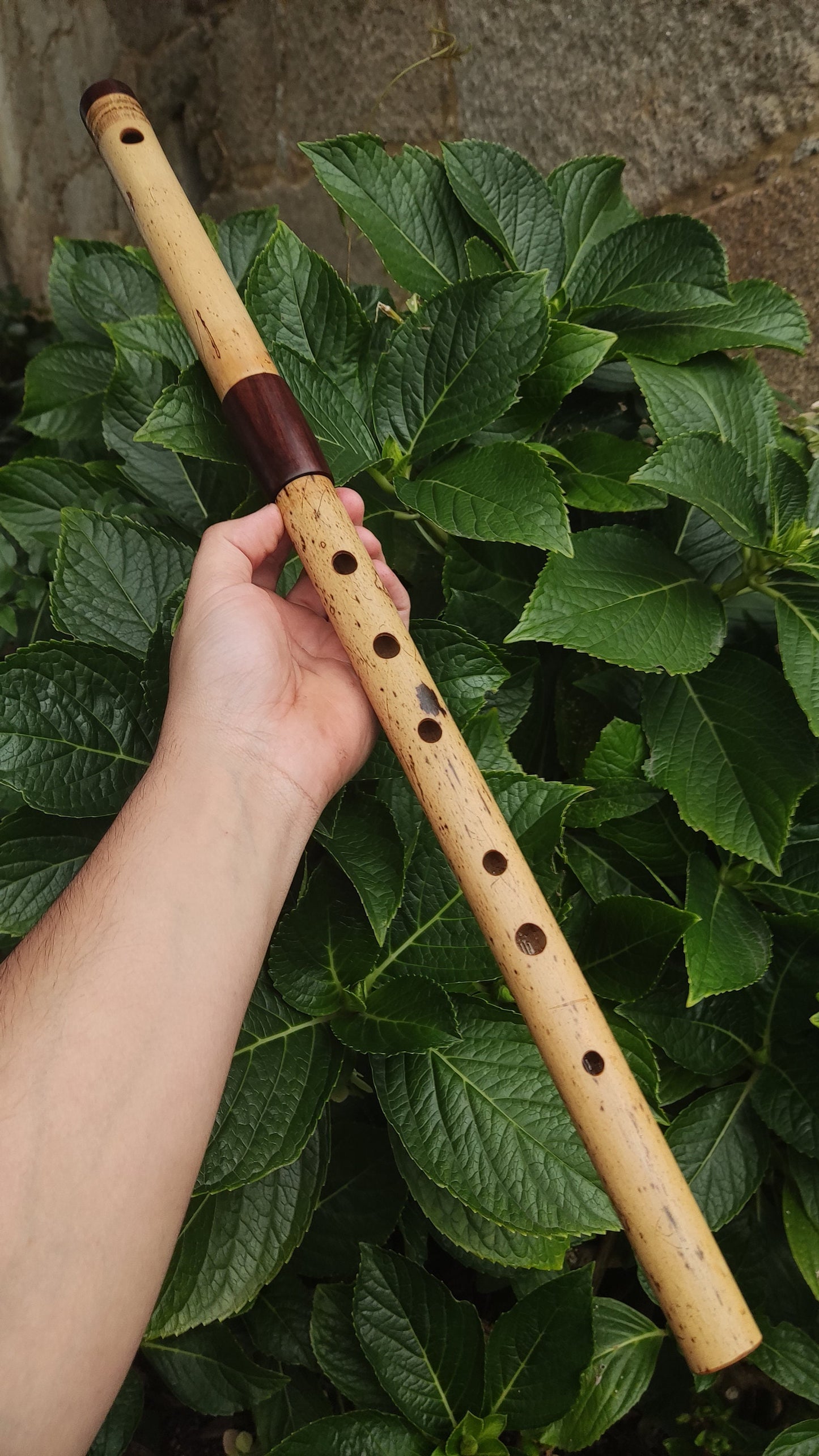Low D Bamboo Transverse Flute, handmade Traverso in two pieces. Concert tuned flute, suitable for folk, irish and world music. Rui Gomes