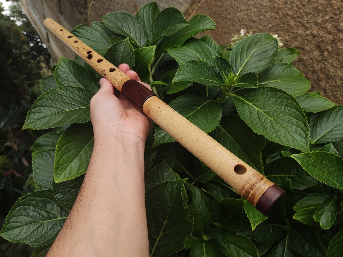 Low D Bamboo Transverse Flute, handmade Traverso in two pieces. Concert tuned flute, suitable for folk, irish and world music. Rui Gomes