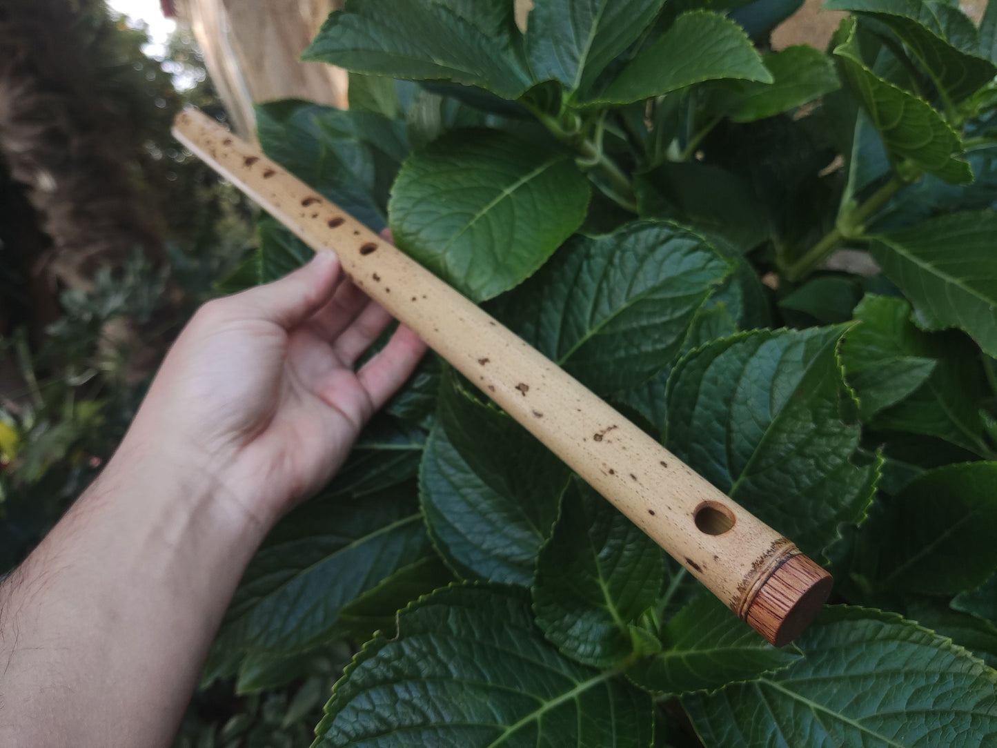 F Major Transverse Flute built in the Irish Style | Concert tuned Bamboo Flute with loud and vibrant tone | Concert Quality | Rui Gomes