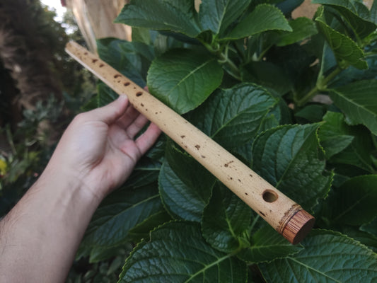 F Major Transverse Flute built in the Irish Style | Concert tuned Bamboo Flute with loud and vibrant tone | Concert Quality | Rui Gomes