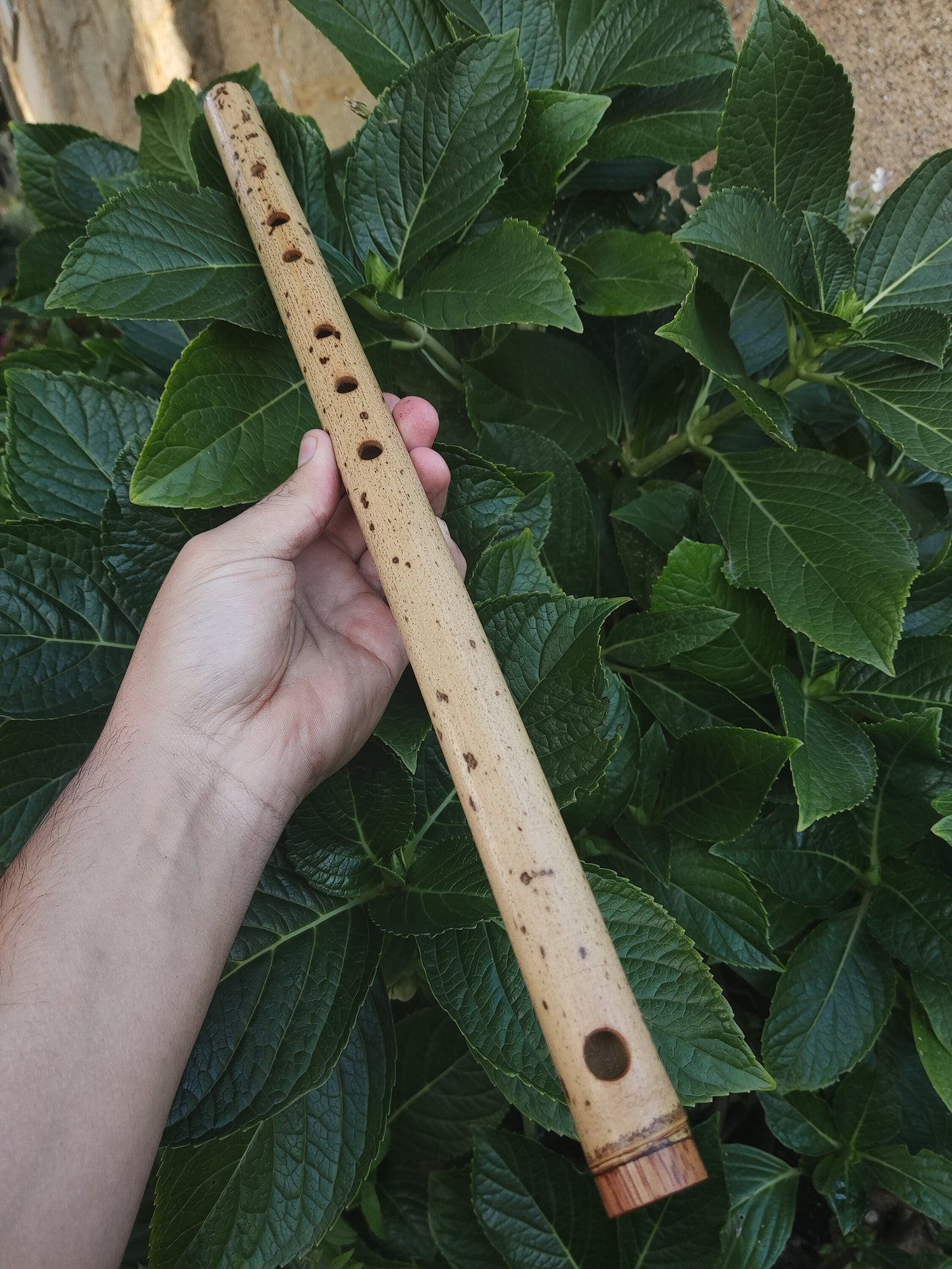 F Major Transverse Flute built in the Irish Style | Concert tuned Bamboo Flute with loud and vibrant tone | Concert Quality | Rui Gomes