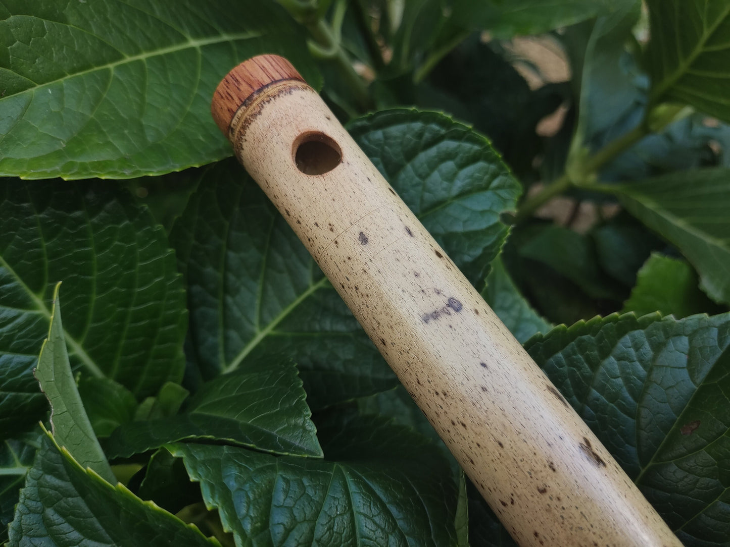 F Major Transverse Flute built in the Irish Style | Concert tuned Bamboo Flute with loud and vibrant tone | Concert Quality | Rui Gomes