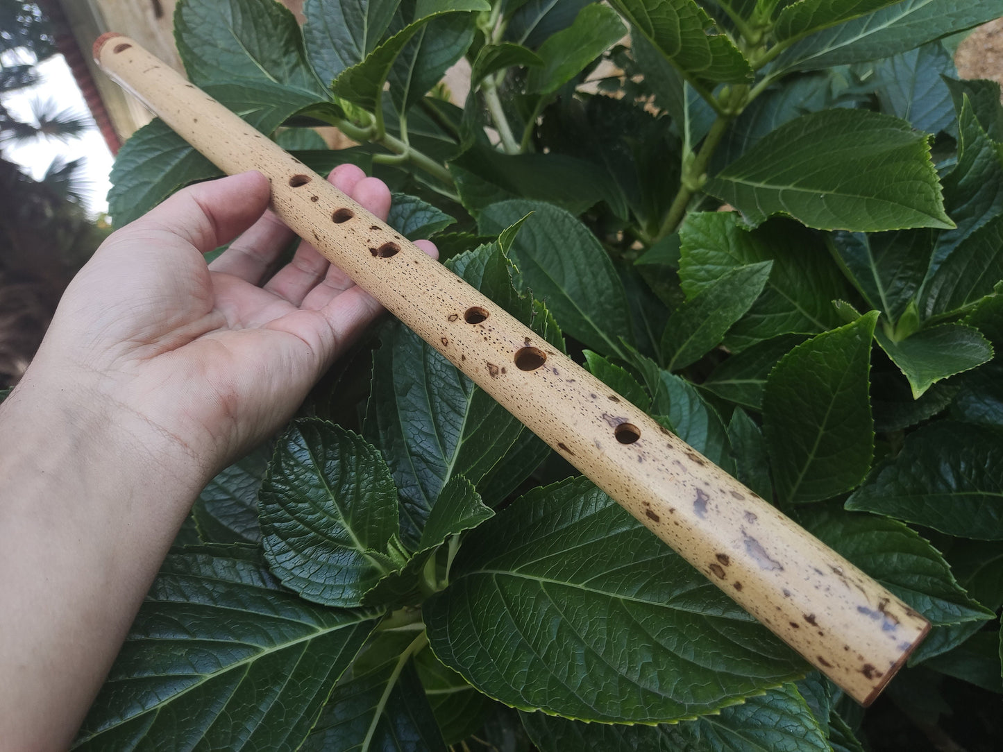 F Major Transverse Flute built in the Irish Style | Concert tuned Bamboo Flute with loud and vibrant tone | Concert Quality | Rui Gomes