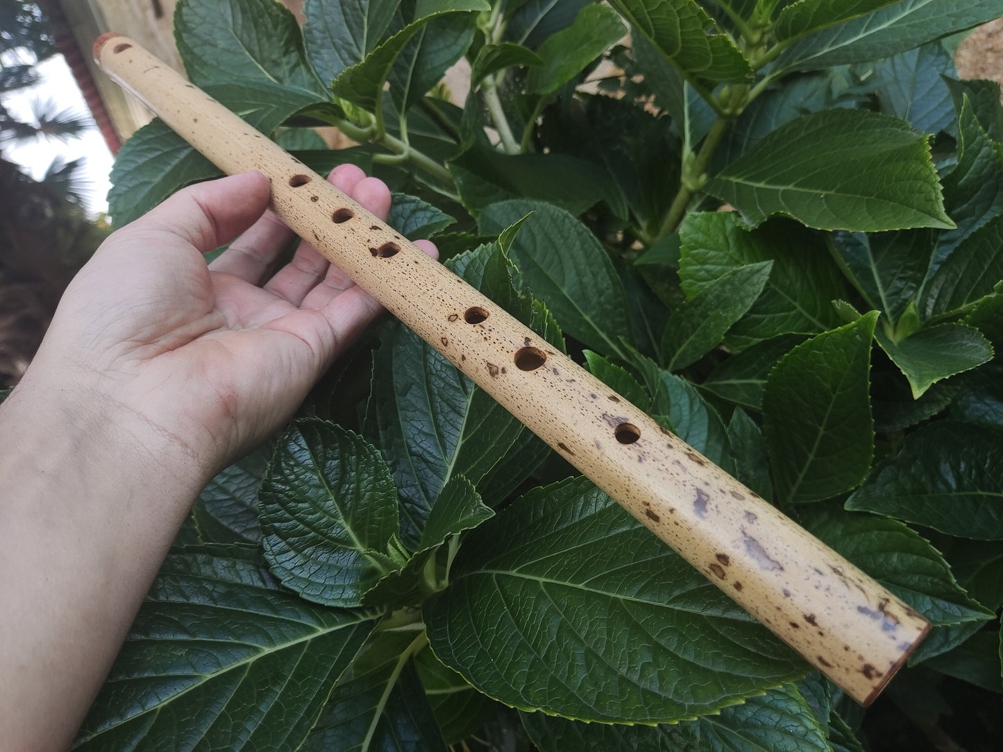 F Major Transverse Flute built in the Irish Style | Concert tuned Bamboo Flute with loud and vibrant tone | Concert Quality | Rui Gomes