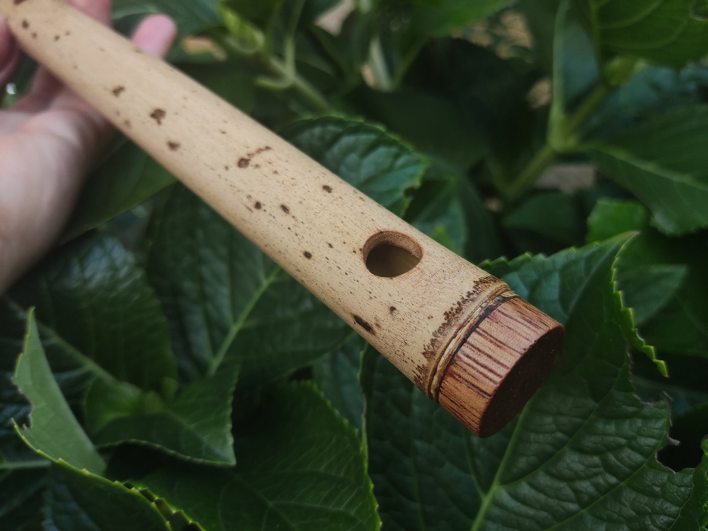 F Major Transverse Flute built in the Irish Style | Concert tuned Bamboo Flute with loud and vibrant tone | Concert Quality | Rui Gomes
