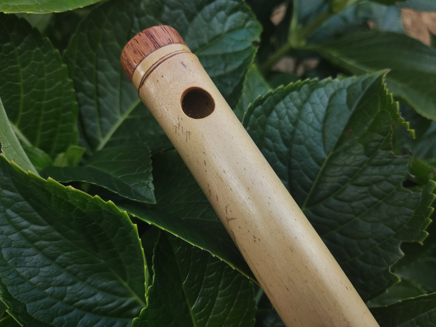 Transverse flute in G Major built in the Irish Style | Concert tuned Bamboo Flute with loud and vibrant tone | Concert Quality | Rui Gomes