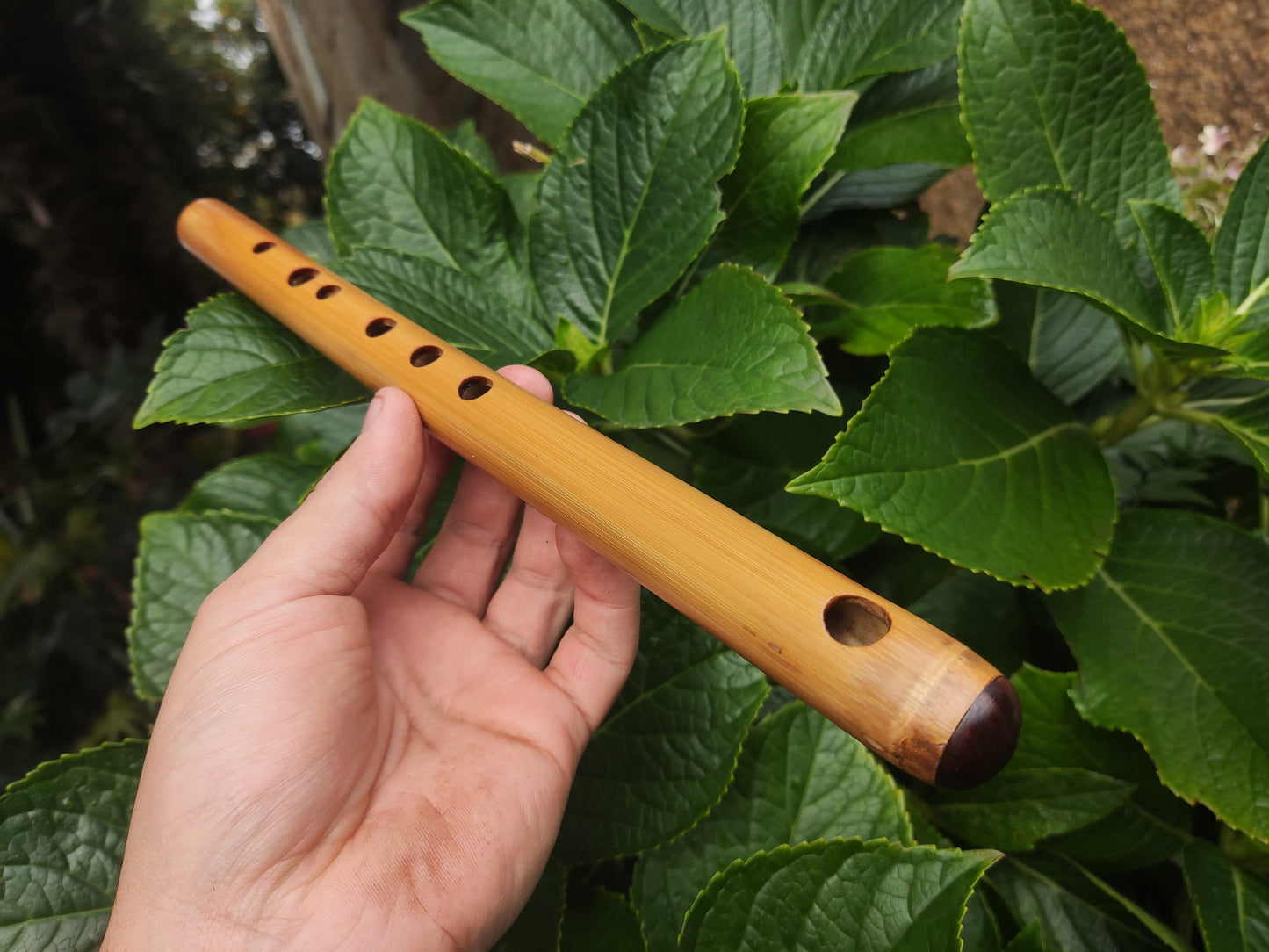 High D Major Piccolo | Handmade Small Transverse for Folk and Traditional Music | Unique Bamboo Fife with Rosewood cap | Rui Gomes