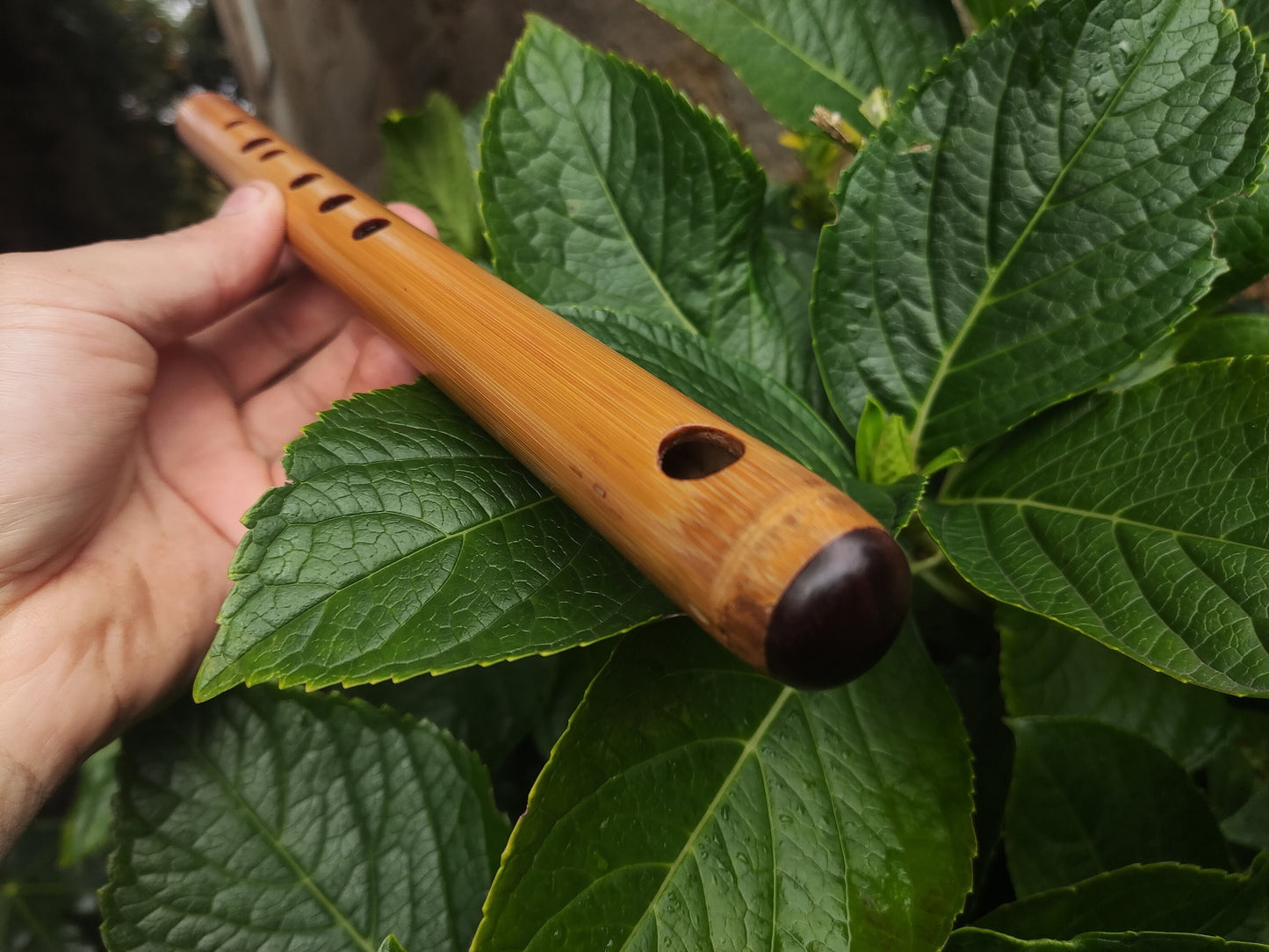 High D Major Piccolo | Handmade Small Transverse for Folk and Traditional Music | Unique Bamboo Fife with Rosewood cap | Rui Gomes