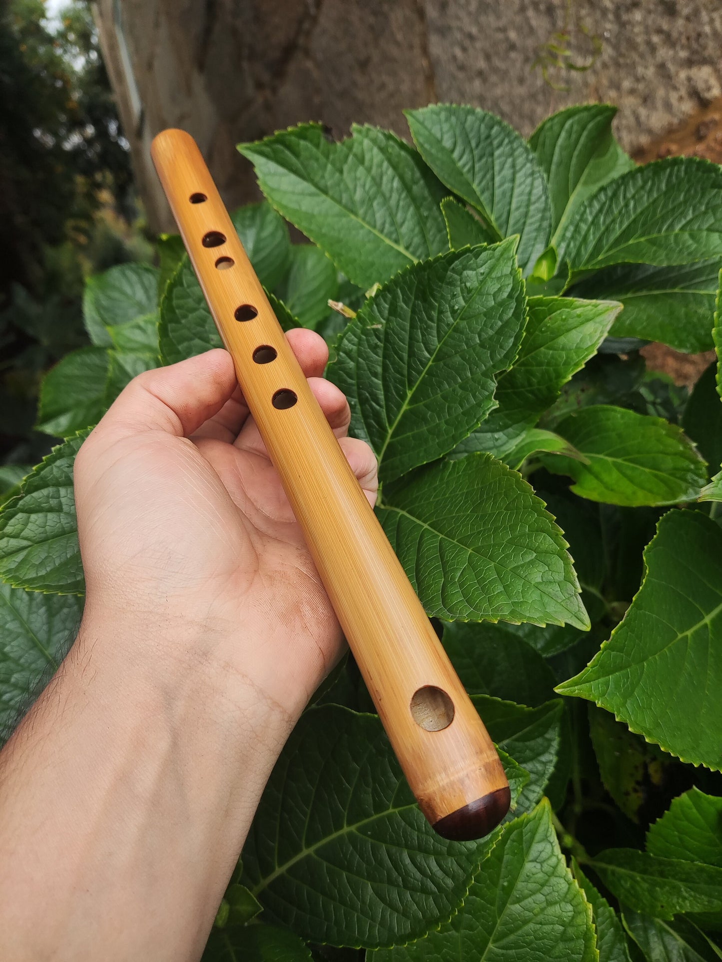 High D Major Piccolo | Handmade Small Transverse for Folk and Traditional Music | Unique Bamboo Fife with Rosewood cap | Rui Gomes