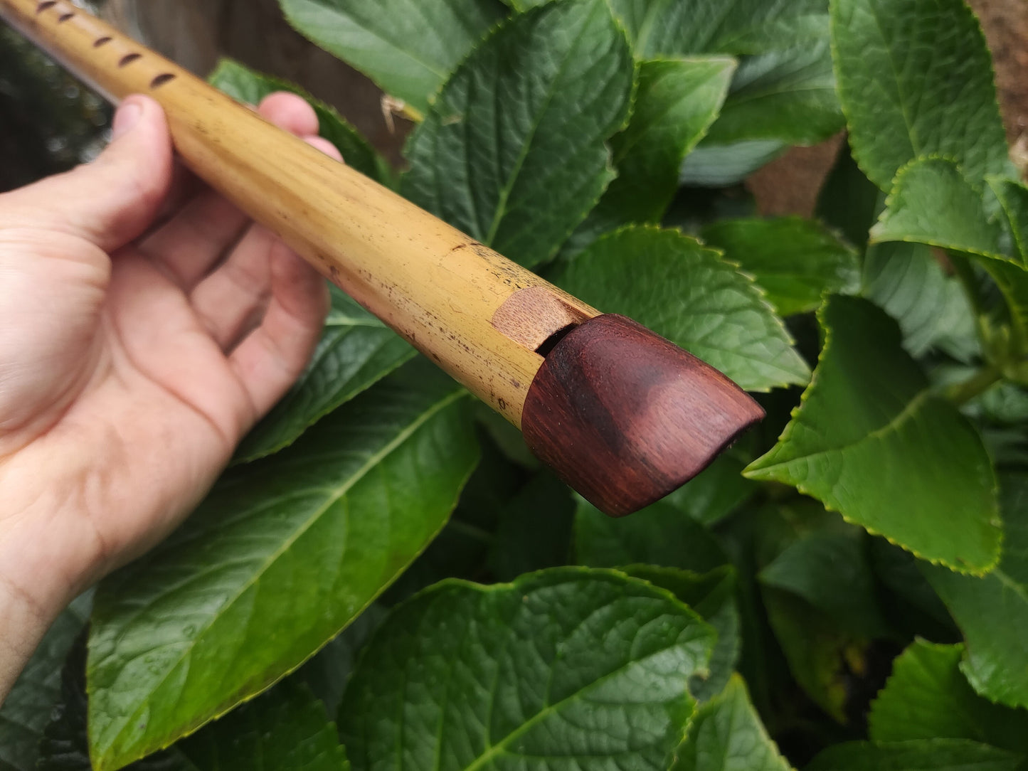 Low A Whistle Handmade out of Bamboo | Suitable for Irish and Folk Music | Rosewood and Bamboo | Traditional Music | Rui Gomes