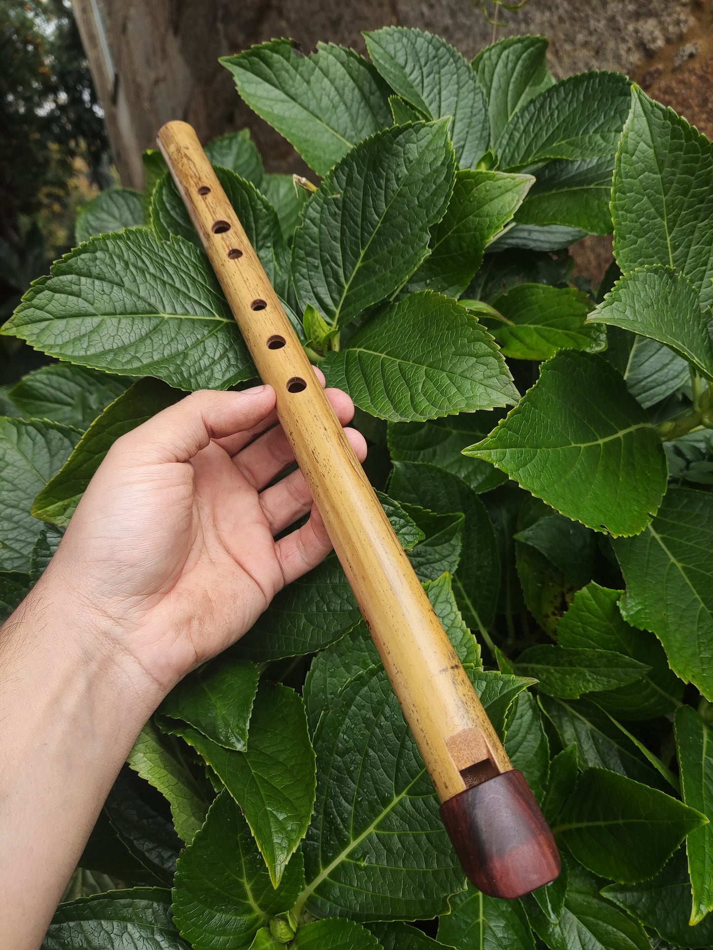 Low A Whistle Handmade out of Bamboo | Suitable for Irish and Folk Music | Rosewood and Bamboo | Traditional Music | Rui Gomes